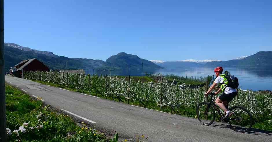 Discover Norway Radfahren, Wandern und Skiwandern in