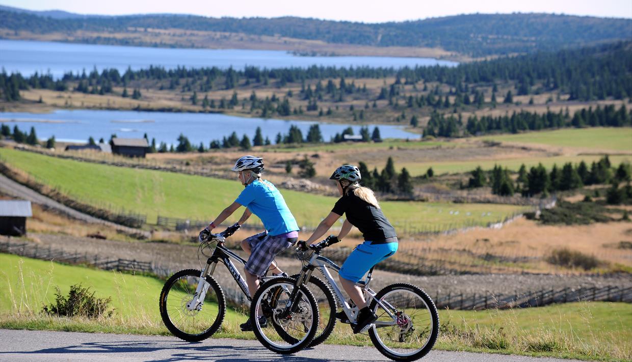 22 km fahrrad kalorien